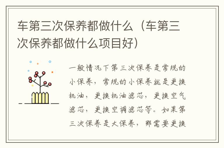 车第三次保养都做什么（车第三次保养都做什么项目好）