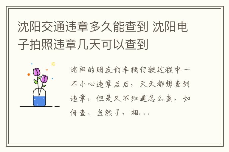 沈阳交通违章多久能查到 沈阳电子拍照违章几天可以查到