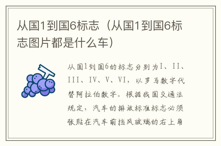 从国1到国6标志（从国1到国6标志图片都是什么车）
