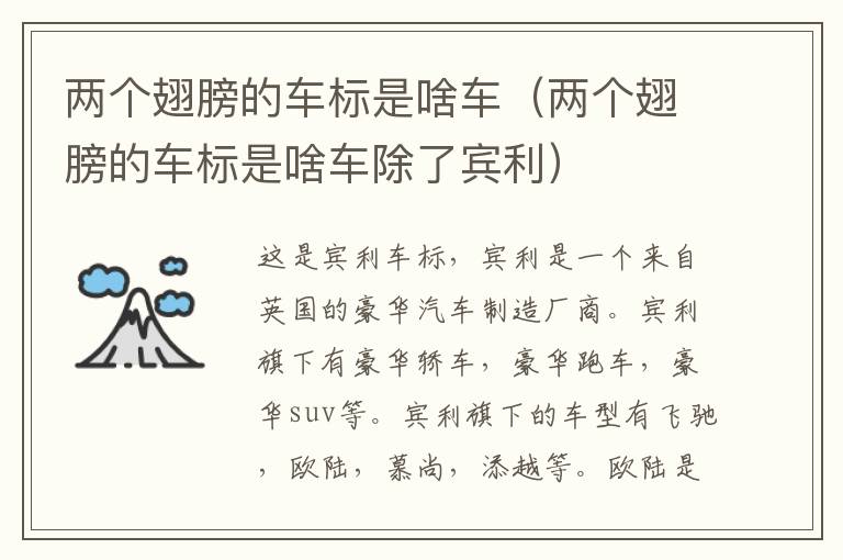两个翅膀的车标是啥车（两个翅膀的车标是啥车除了宾利）