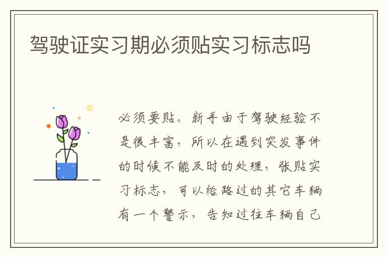 驾驶证实习期必须贴实习标志吗