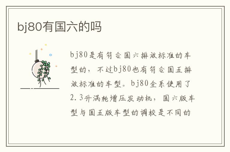 bj80有国六的吗