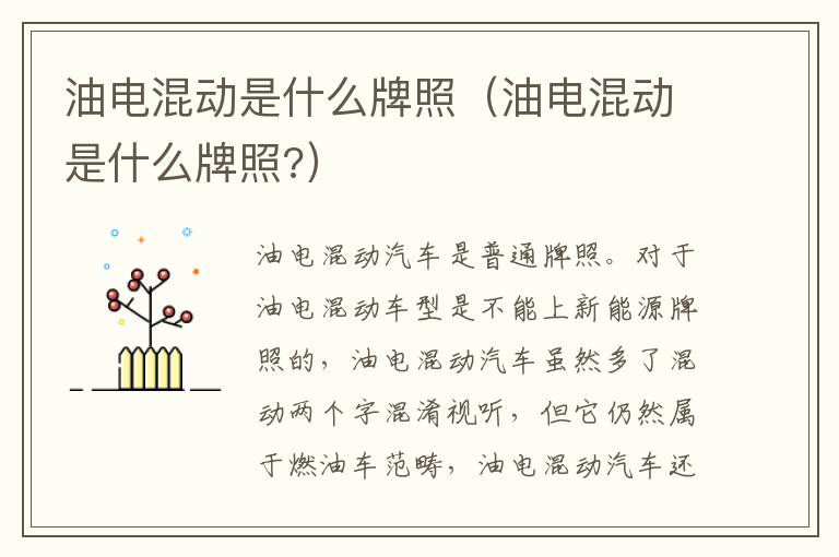 油电混动是什么牌照（油电混动是什么牌照?）