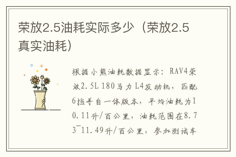荣放2.5油耗实际多少（荣放2.5真实油耗）