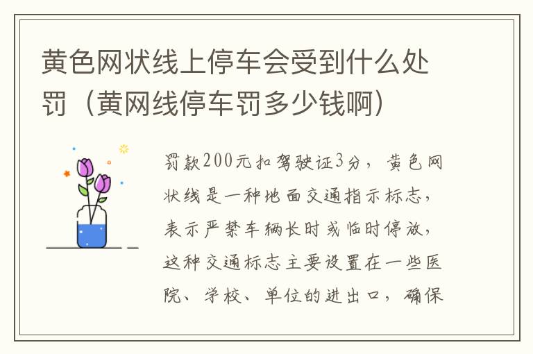黄色网状线上停车会受到什么处罚（黄网线停车罚多少钱啊）