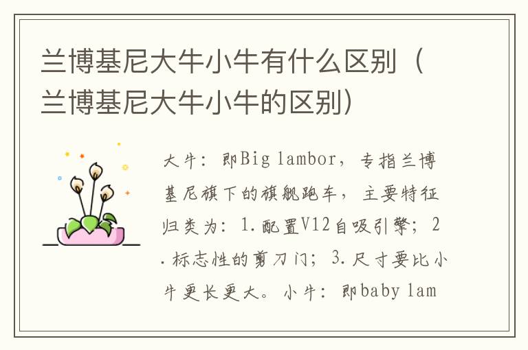 兰博基尼大牛小牛有什么区别（兰博基尼大牛小牛的区别）