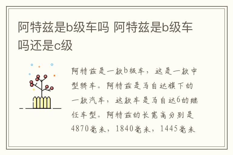 阿特兹是b级车吗 阿特兹是b级车吗还是c级
