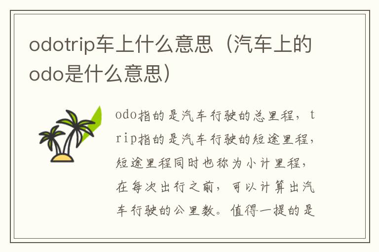 odotrip车上什么意思（汽车上的odo是什么意思）
