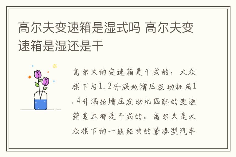高尔夫变速箱是湿式吗 高尔夫变速箱是湿还是干