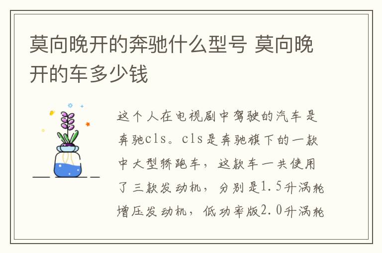 莫向晚开的奔驰什么型号 莫向晚开的车多少钱