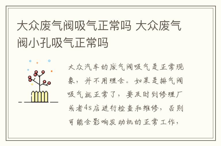 大众废气阀吸气正常吗 大众废气阀小孔吸气正常吗