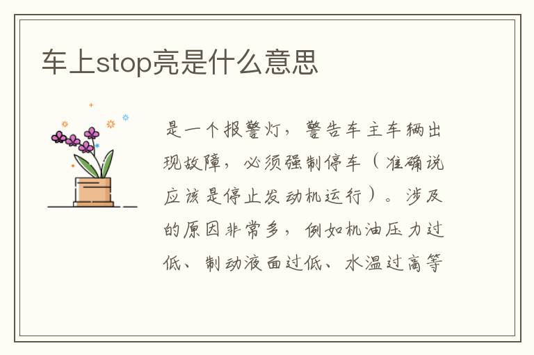 车上stop亮是什么意思