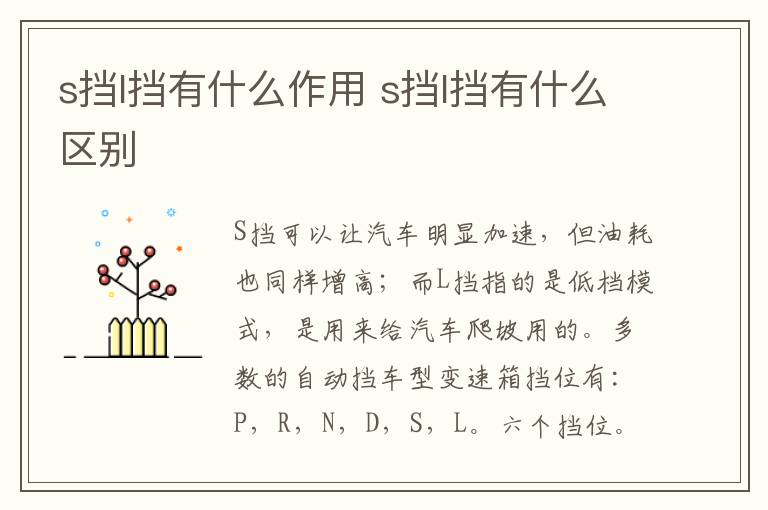 s挡l挡有什么作用 s挡l挡有什么区别
