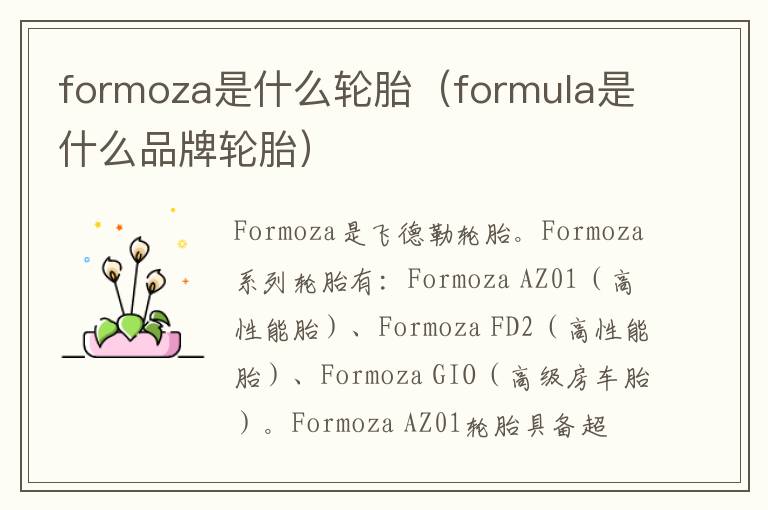 formoza是什么轮胎（formula是什么品牌轮胎）