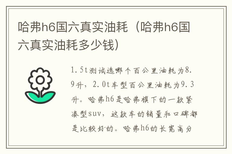 哈弗h6国六真实油耗（哈弗h6国六真实油耗多少钱）