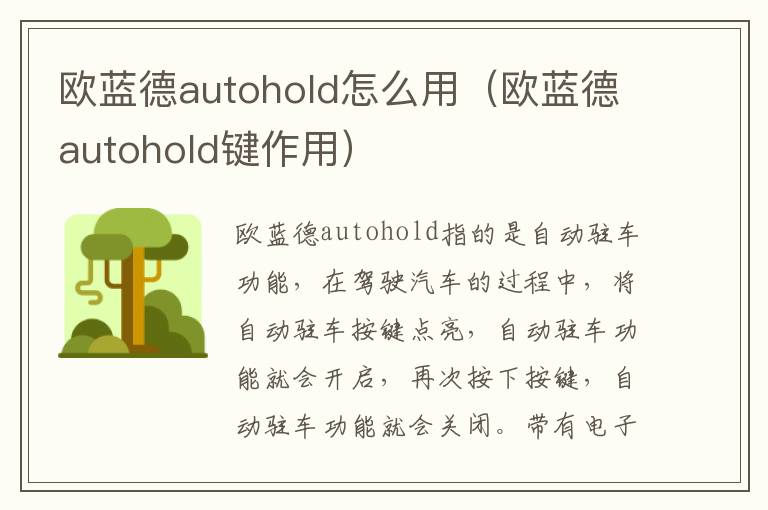欧蓝德autohold怎么用（欧蓝德autohold键作用）