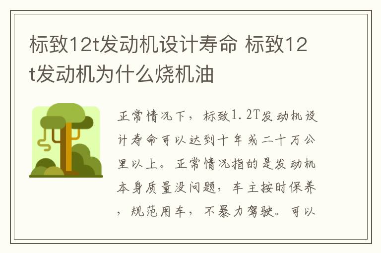 标致12t发动机设计寿命 标致12t发动机为什么烧机油