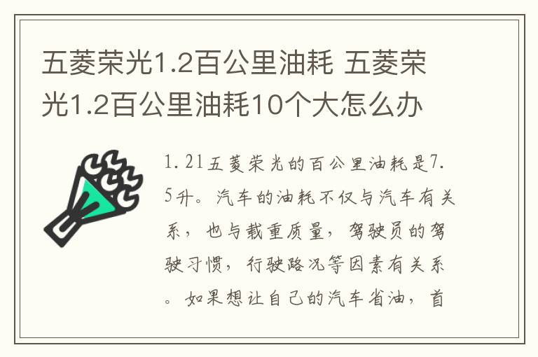 五菱荣光1.2百公里油耗 五菱荣光1.2百公里油耗10个大怎么办