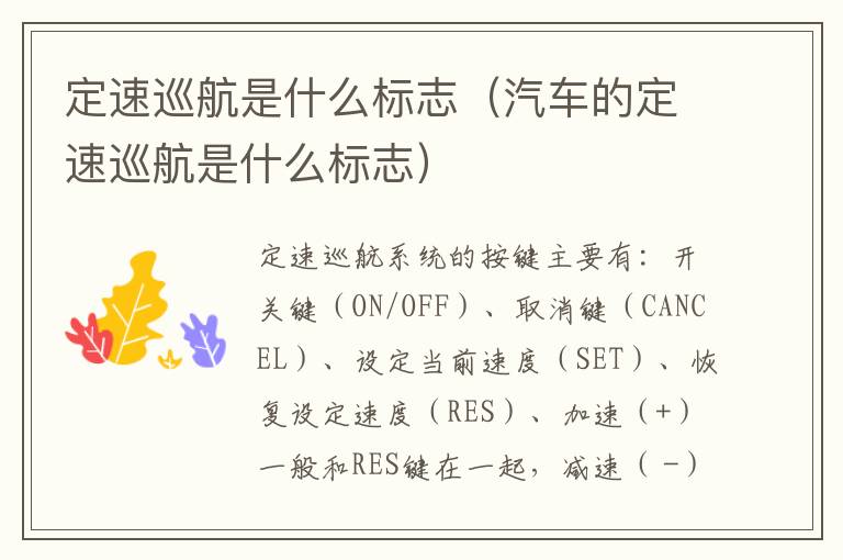 定速巡航是什么标志（汽车的定速巡航是什么标志）