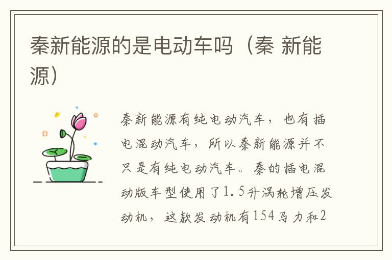 秦新能源的是电动车吗（秦 新能源）