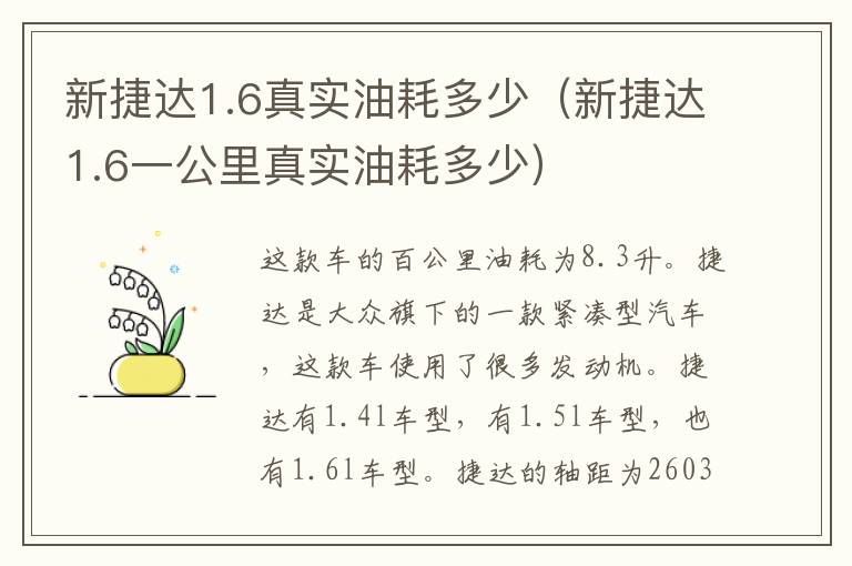 新捷达1.6真实油耗多少（新捷达1.6一公里真实油耗多少）