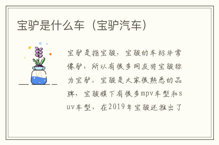 宝驴是什么车（宝驴汽车）