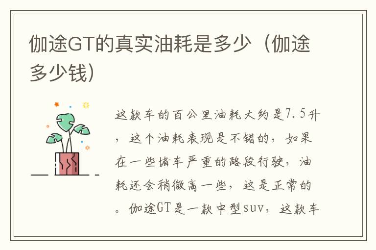 伽途GT的真实油耗是多少（伽途多少钱）