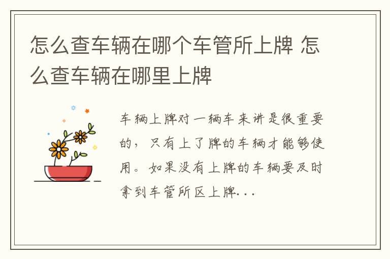 怎么查车辆在哪个车管所上牌 怎么查车辆在哪里上牌
