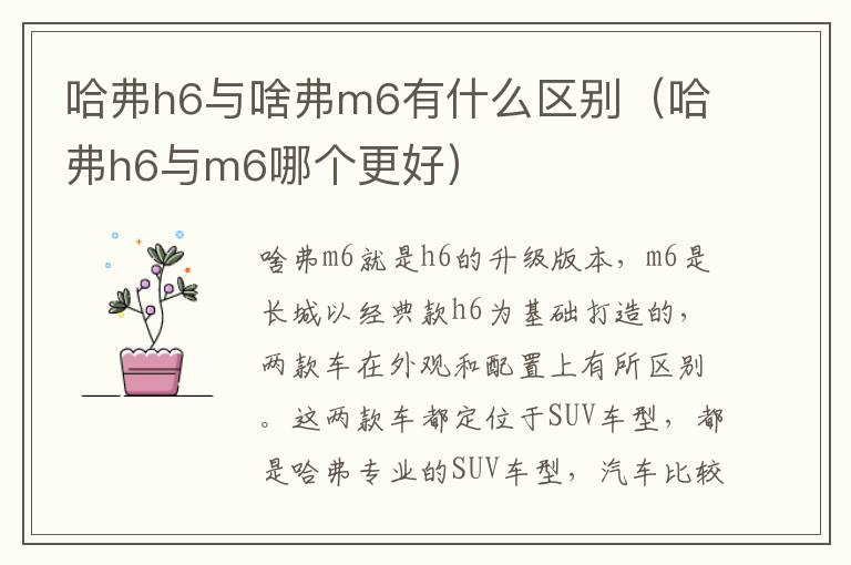 哈弗h6与啥弗m6有什么区别（哈弗h6与m6哪个更好）