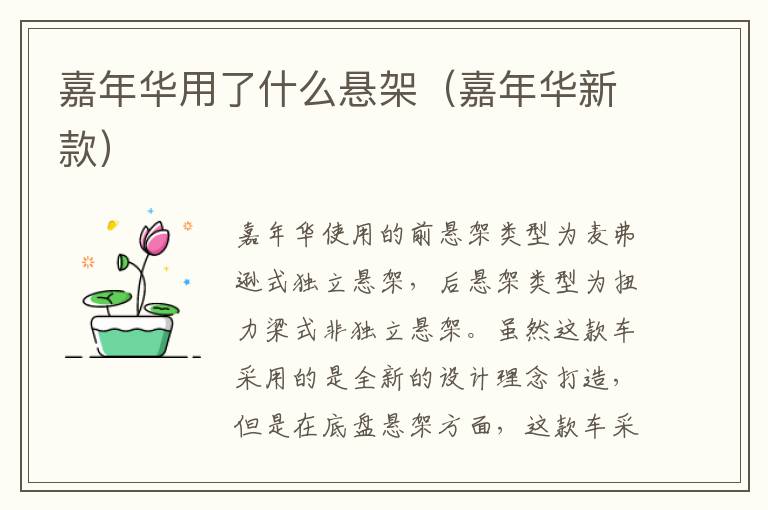 嘉年华用了什么悬架（嘉年华新款）