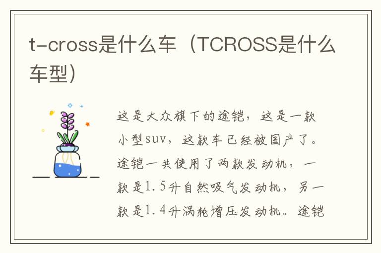 t-cross是什么车（TCROSS是什么车型）