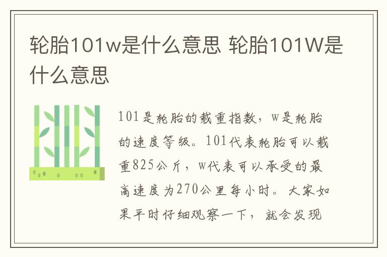 轮胎101w是什么意思 轮胎101W是什么意思