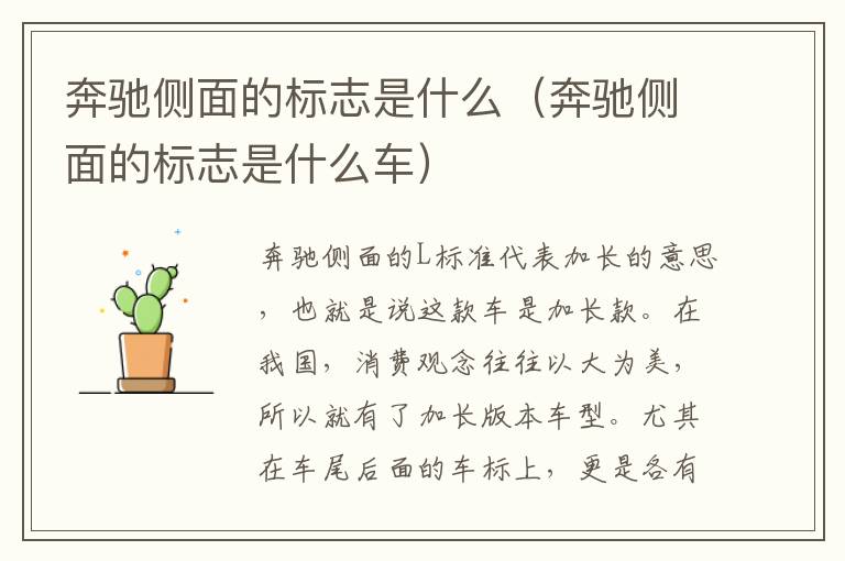 奔驰侧面的标志是什么（奔驰侧面的标志是什么车）