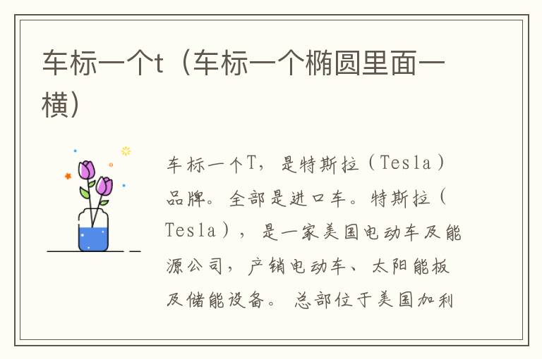 车标一个t（车标一个椭圆里面一横）