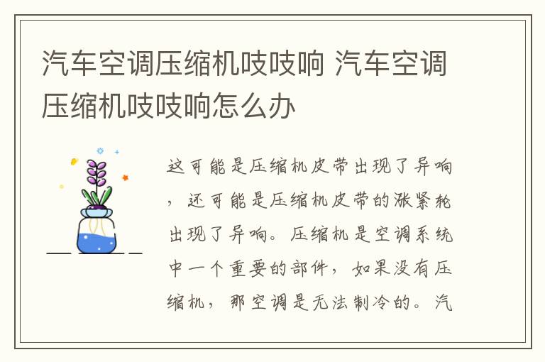 汽车空调压缩机吱吱响 汽车空调压缩机吱吱响怎么办