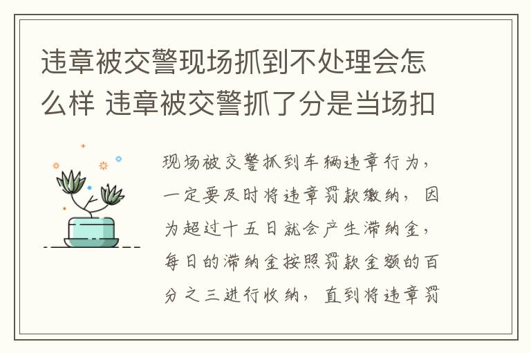 违章被交警现场抓到不处理会怎么样 违章被交警抓了分是当场扣吗