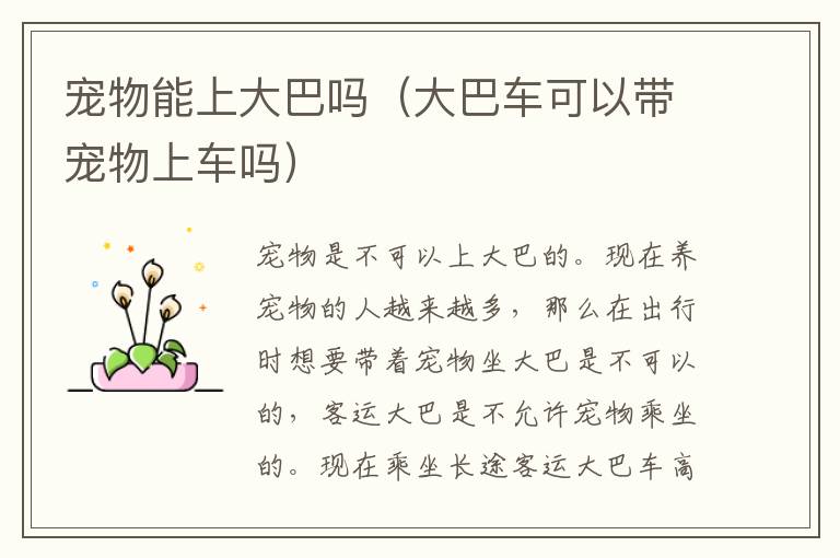 宠物能上大巴吗（大巴车可以带宠物上车吗）