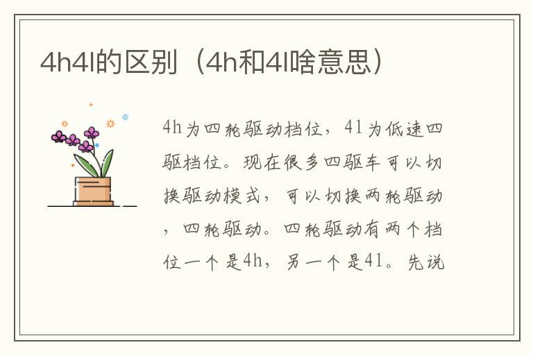 4h4l的区别（4h和4l啥意思）