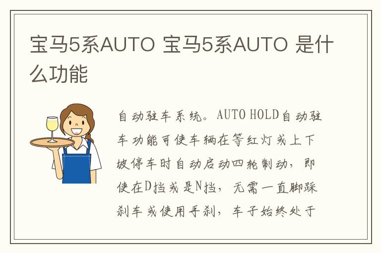 宝马5系AUTO 宝马5系AUTO 是什么功能