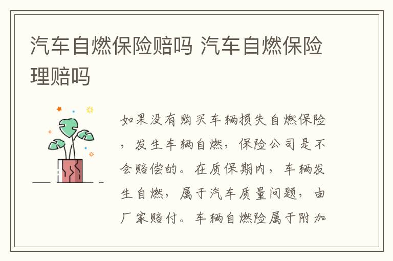 汽车自燃保险赔吗 汽车自燃保险理赔吗