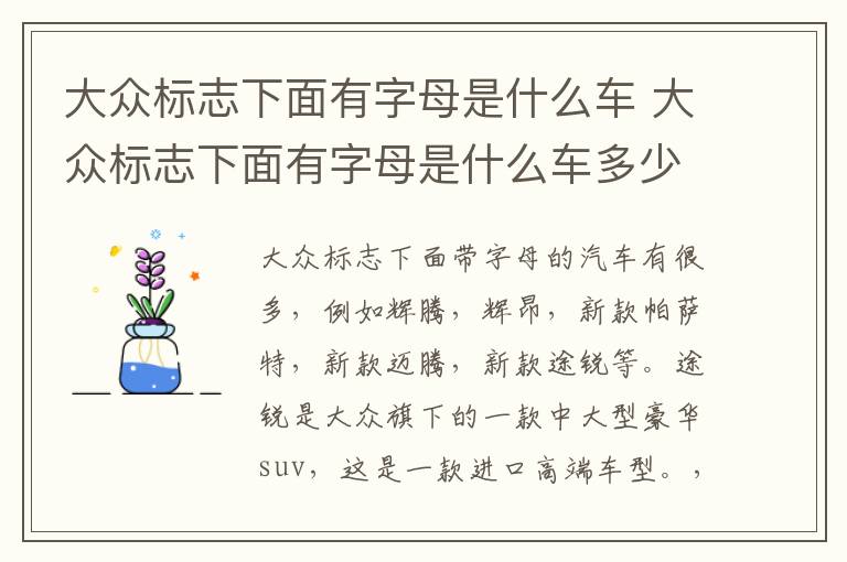 大众标志下面有字母是什么车 大众标志下面有字母是什么车多少钱