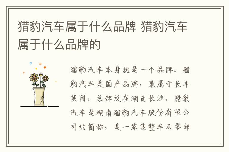 猎豹汽车属于什么品牌 猎豹汽车属于什么品牌的