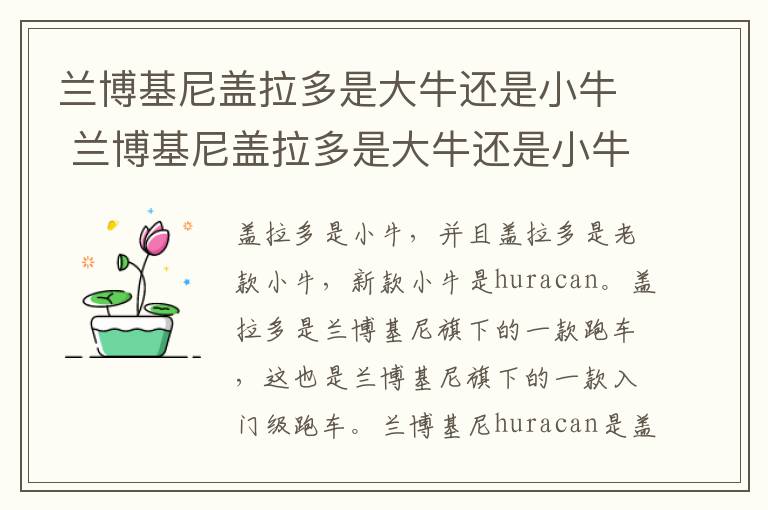 兰博基尼盖拉多是大牛还是小牛 兰博基尼盖拉多是大牛还是小牛