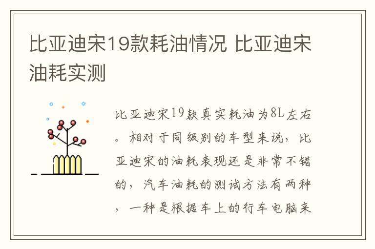比亚迪宋19款耗油情况 比亚迪宋油耗实测