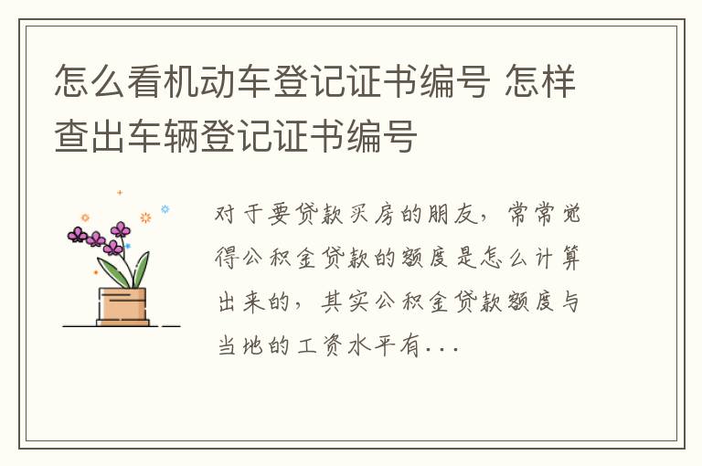 怎么看机动车登记证书编号 怎样查出车辆登记证书编号