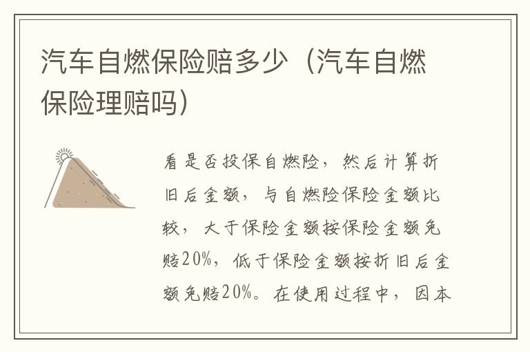 汽车自燃保险赔多少（汽车自燃保险理赔吗）