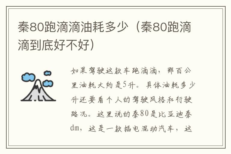 秦80跑滴滴油耗多少（秦80跑滴滴到底好不好）