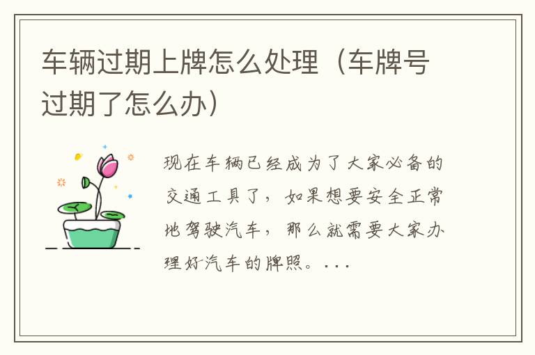 车辆过期上牌怎么处理（车牌号过期了怎么办）