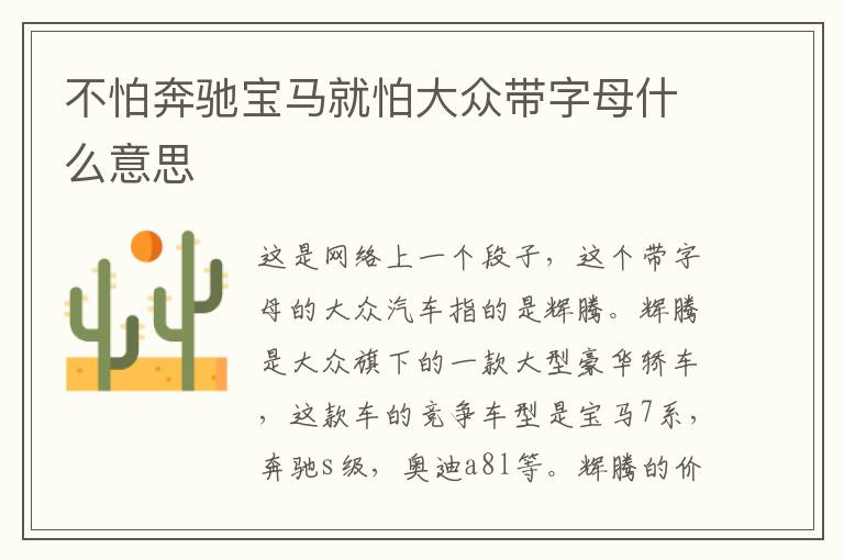不怕奔驰宝马就怕大众带字母什么意思