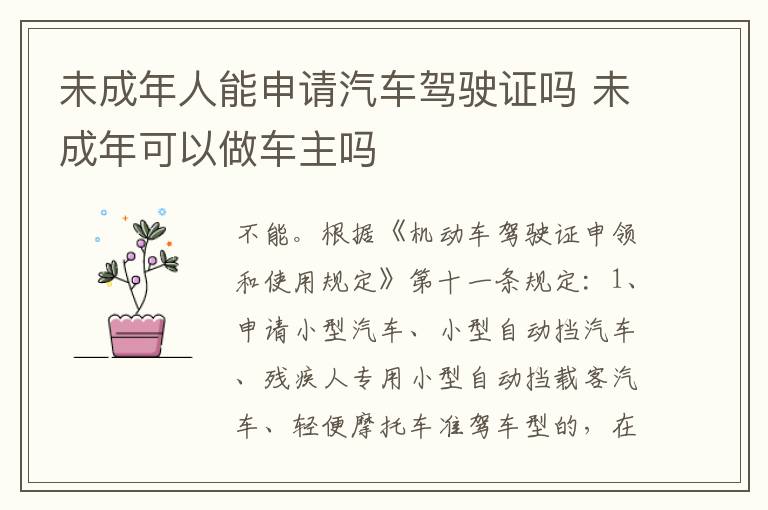未成年人能申请汽车驾驶证吗 未成年可以做车主吗